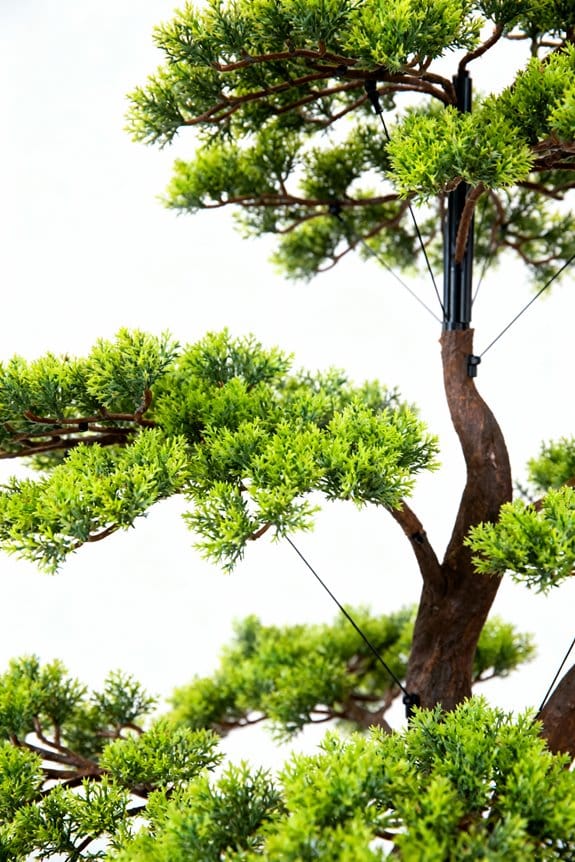 adjustable branches and quality