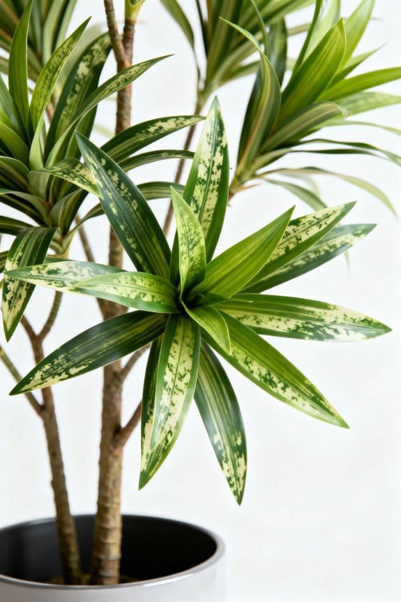 choosing the perfect faux tree