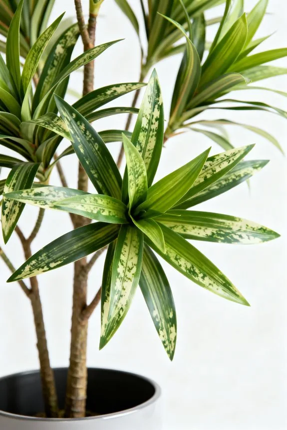 choosing the perfect faux tree