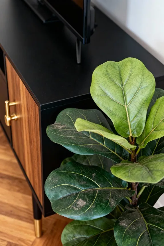 faux trees enhance media spaces
